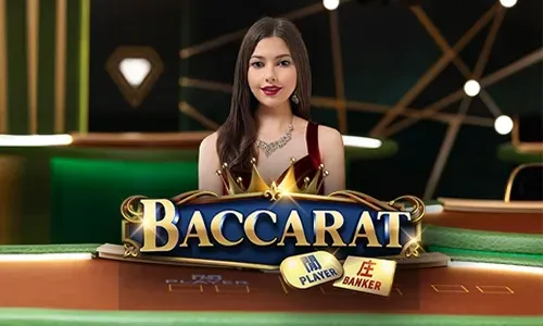 Gogojili Casino Guide